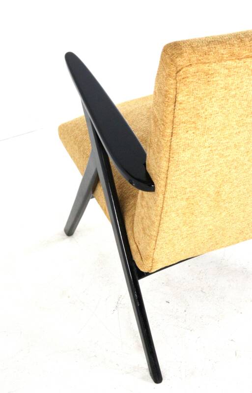 mid century modern vintage Armchair 'De Lier' - fully restored