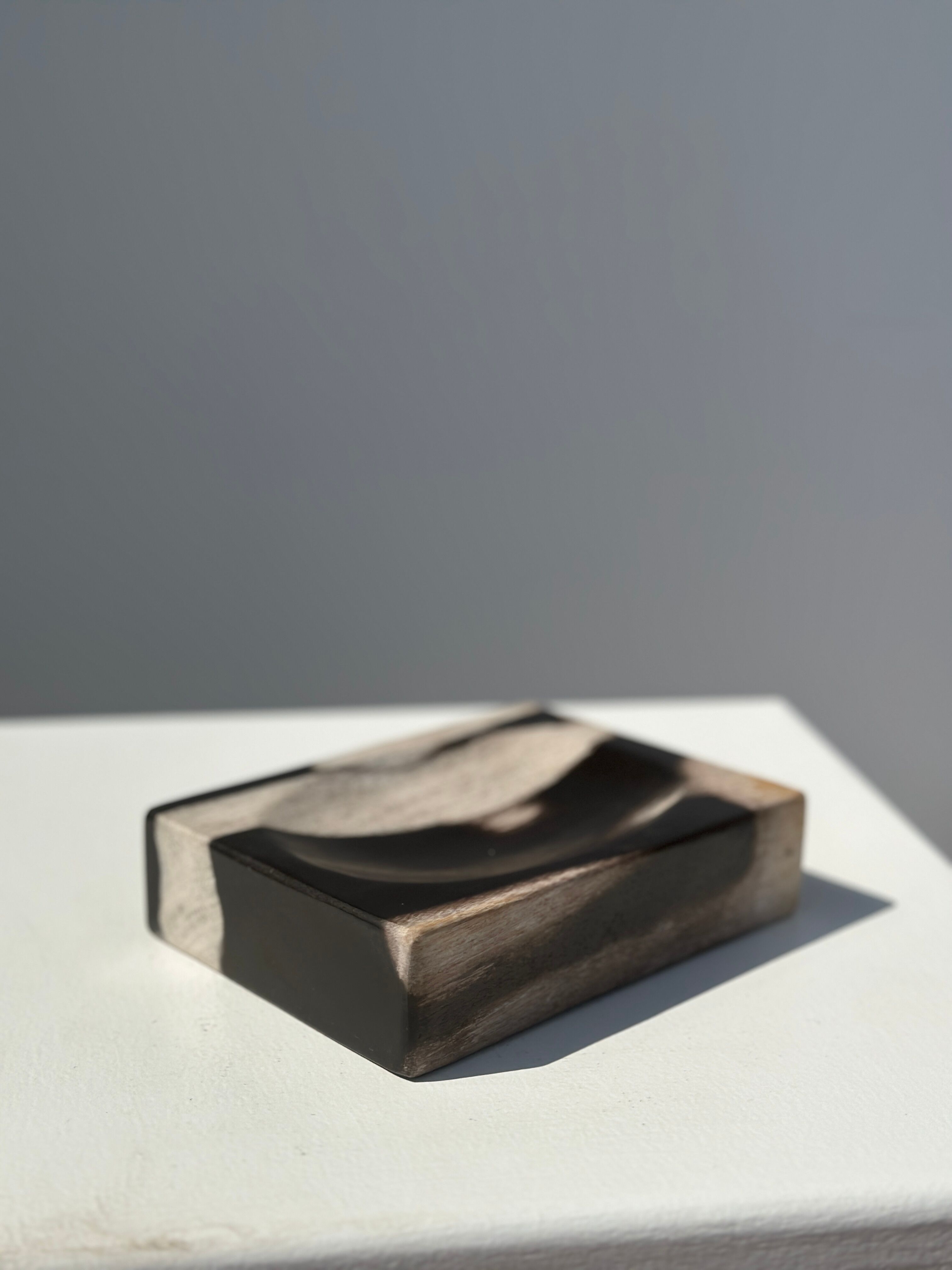 Symmetrical multicolored petrified wood soap dish