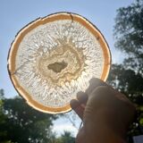 Agate slice on wooden base, 1970s, cabinet of curiosities