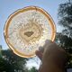 Agate slice on wooden base, 1970s, cabinet of curiosities