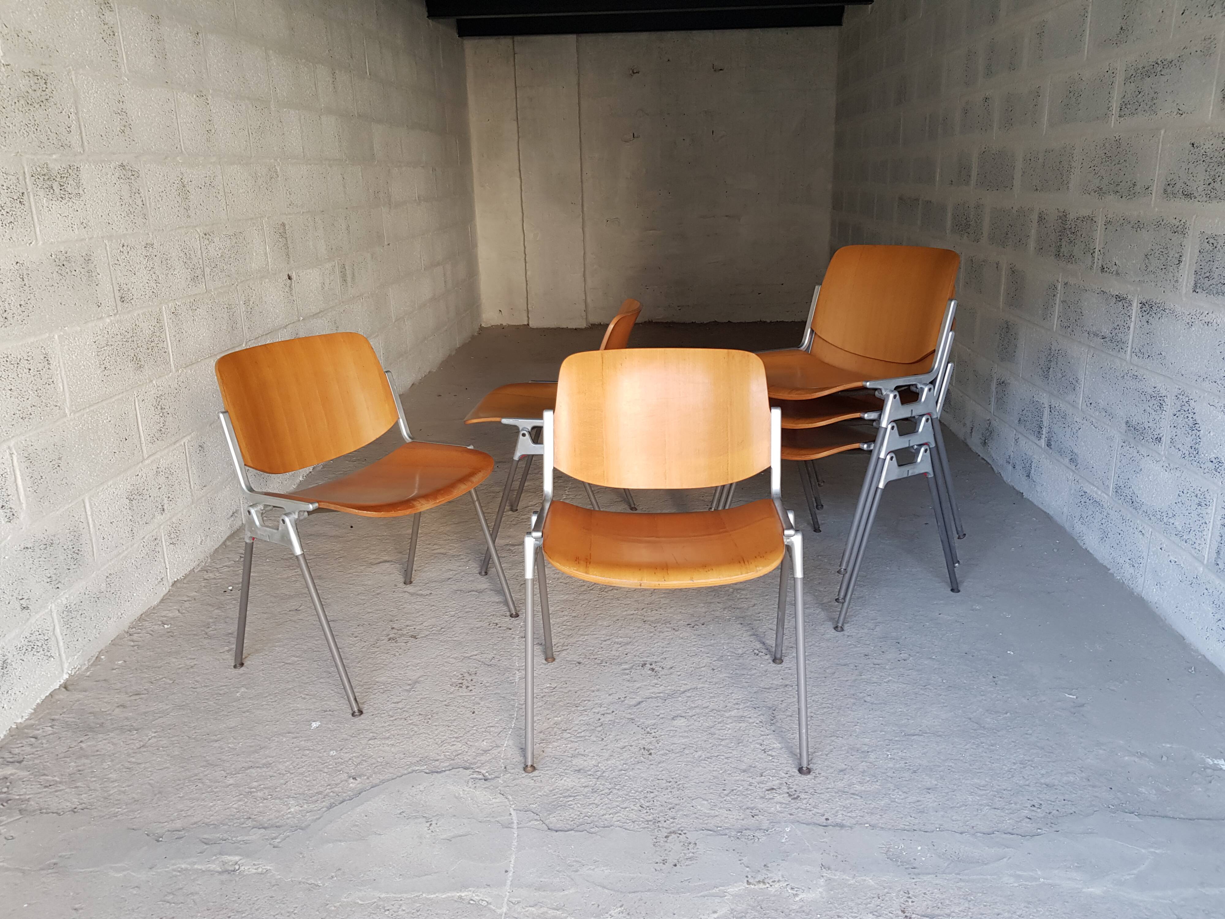 Lot of 6 chairs Castelli DSC 106