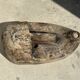 Large Timor mask in patinated wood H:50cm (2)