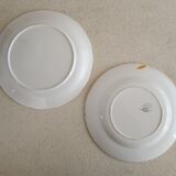 Set of 2 mismatched iron earth plates Digoin