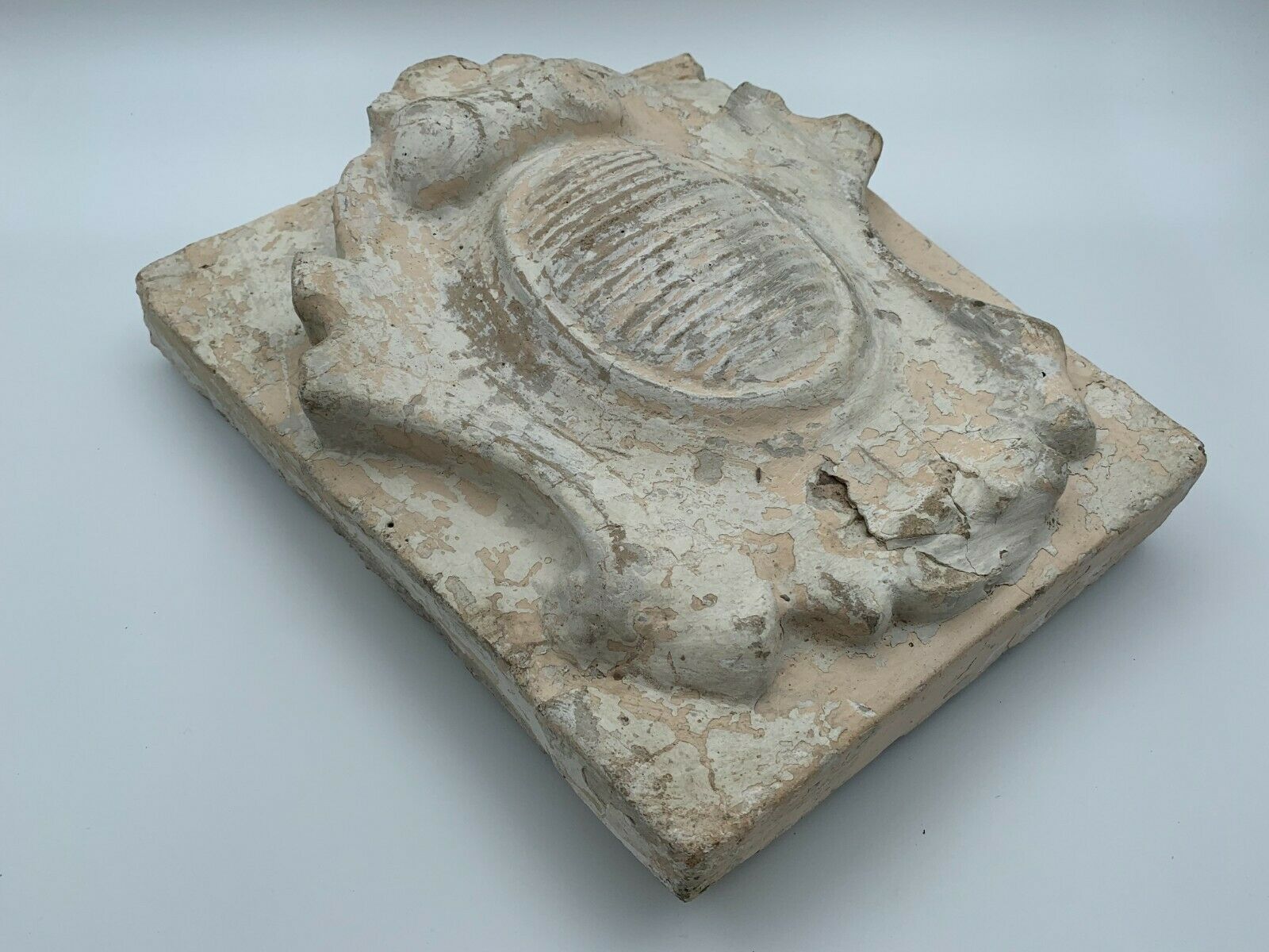 STONE SHELL 19TH PATINA OF ORIGIN SCULPTURE