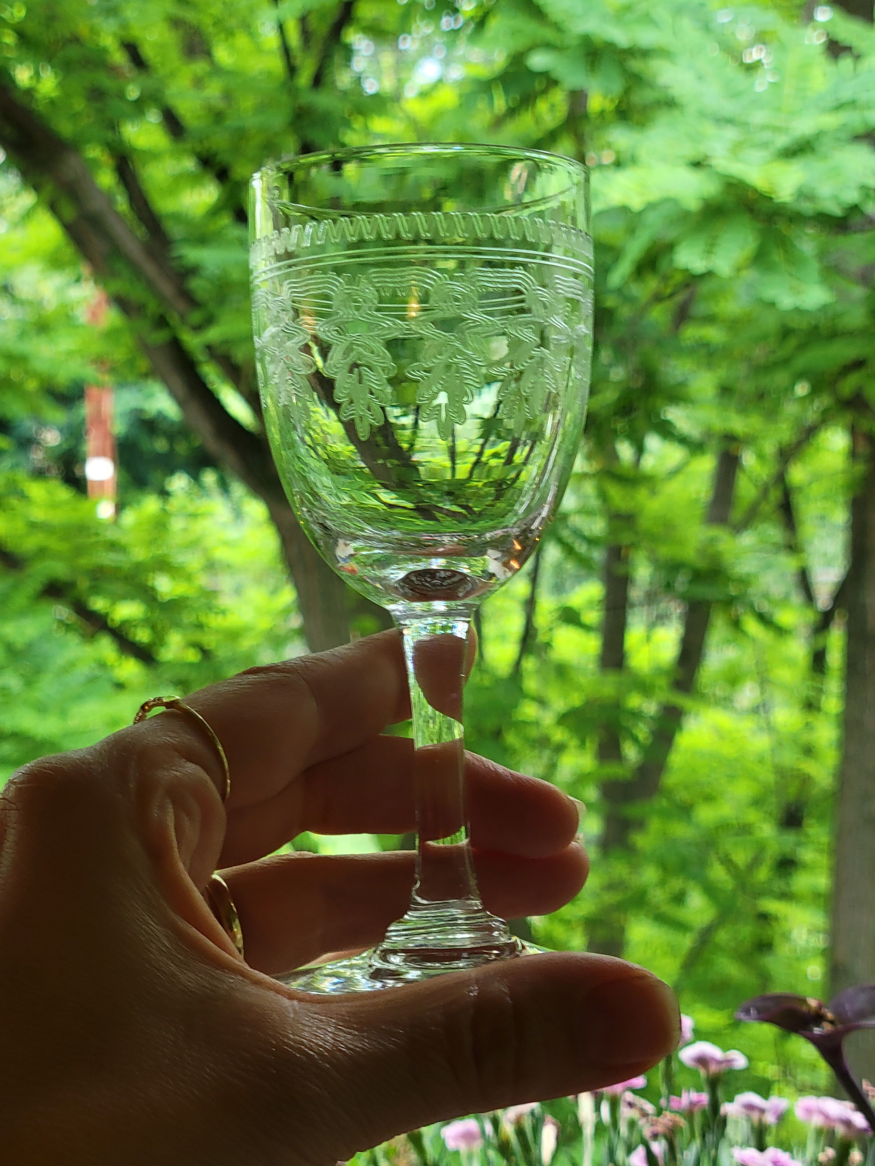 6 old glasses with engraved baccarat crystal wine stems