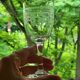 6 old glasses with engraved baccarat crystal wine stems