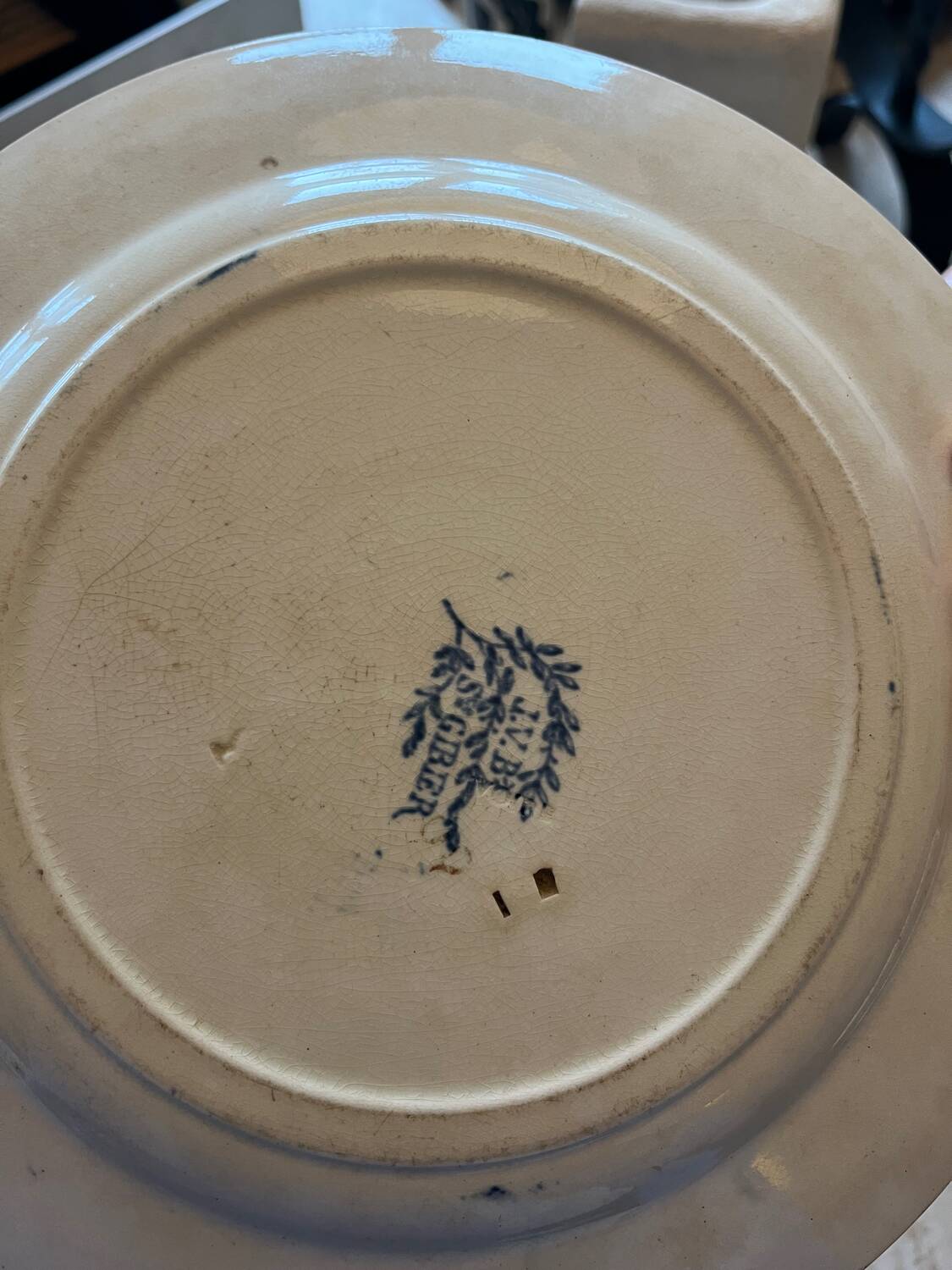 Two antique ironstone plates