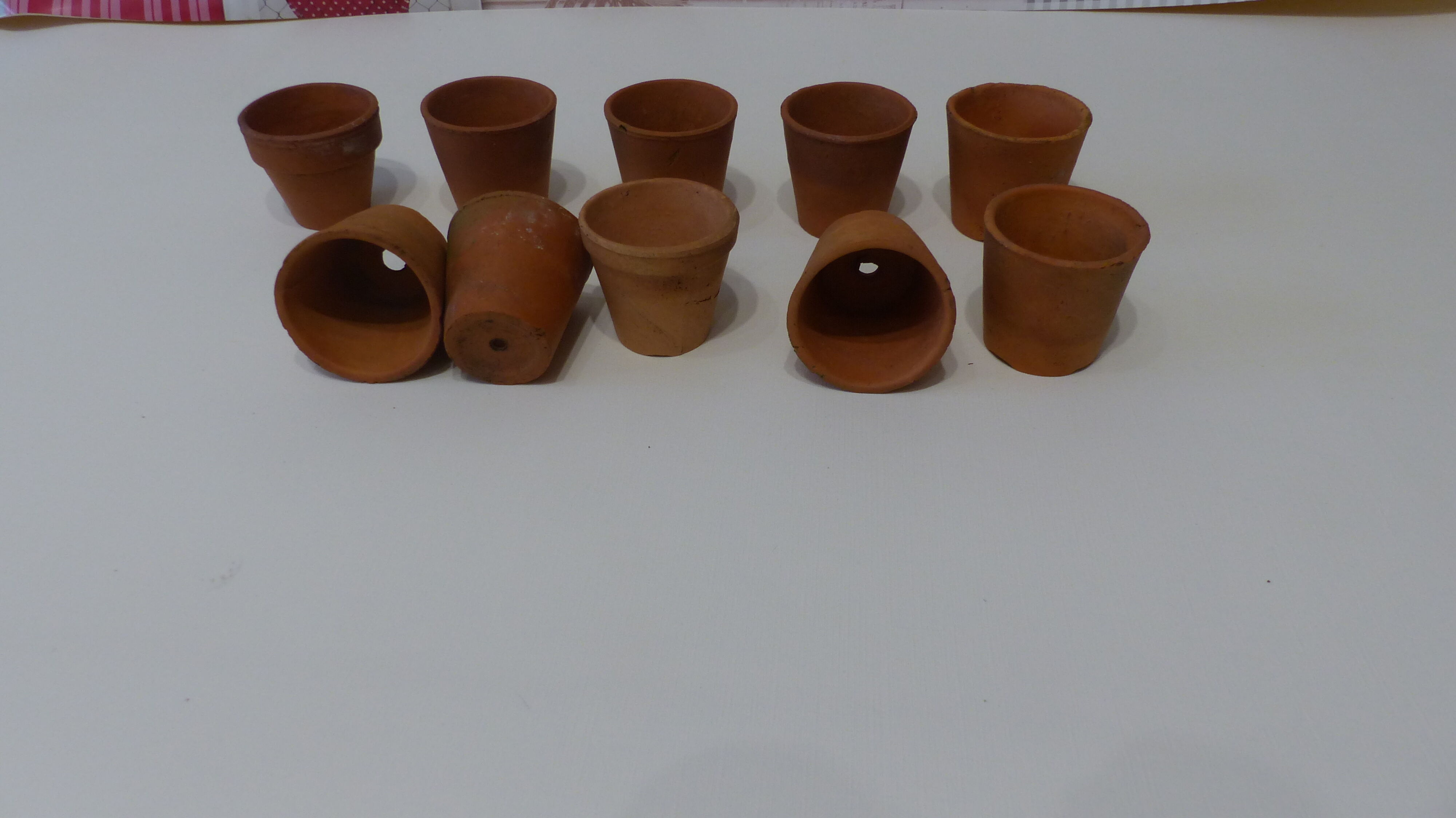 10 terracotta pots