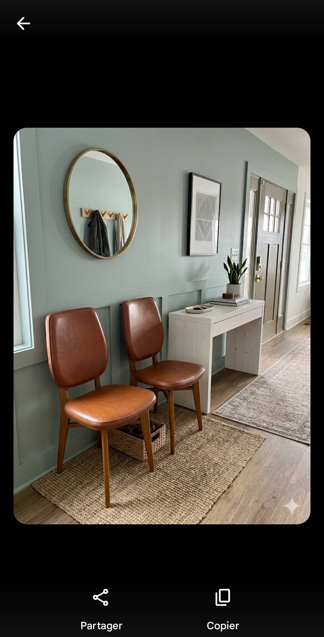 Paire de chaises vintage des années 60