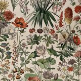 Lithograph on flowers from 1897 (amaranth)