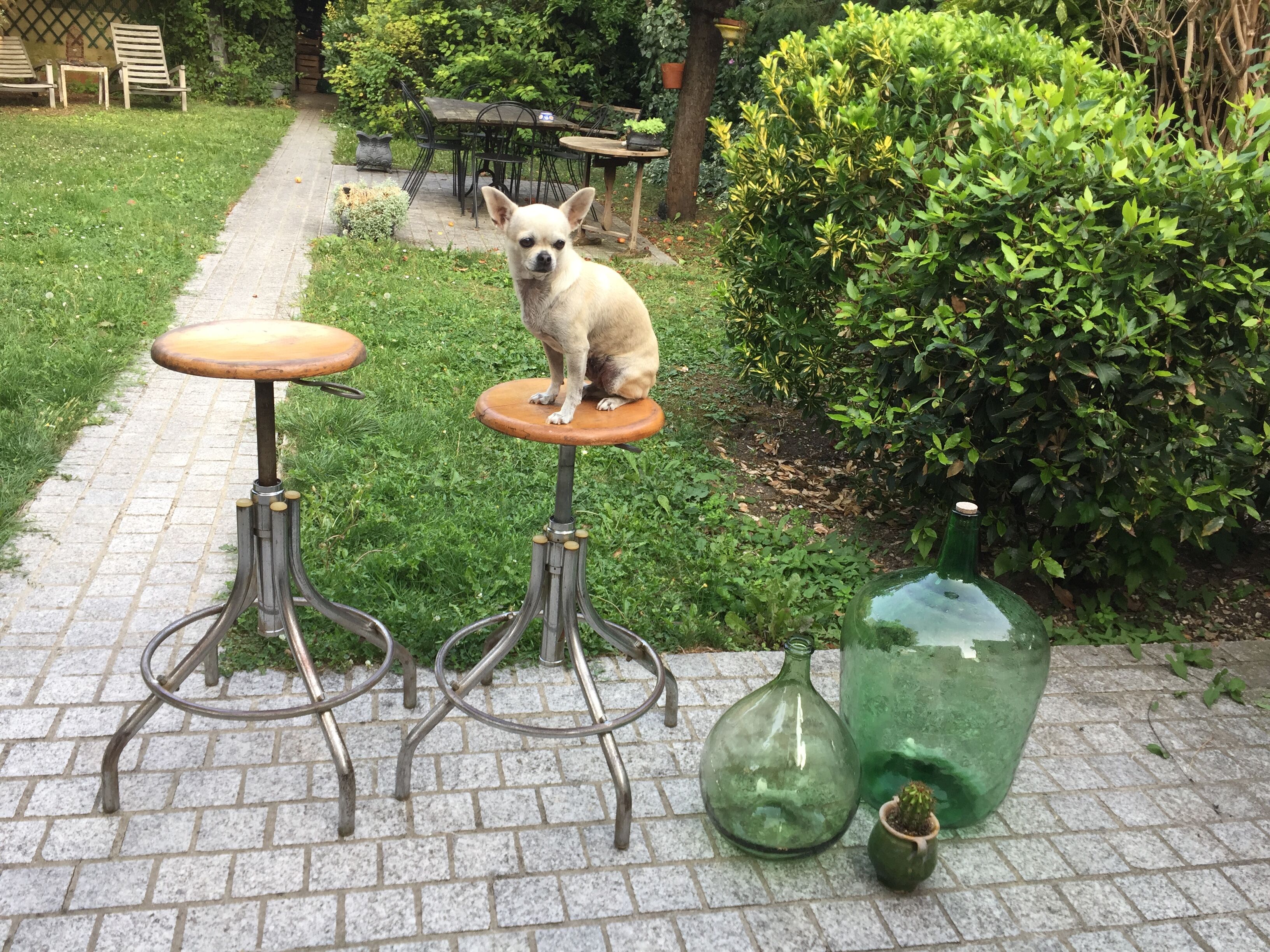 Stool of BAO 1950 vintage workshop