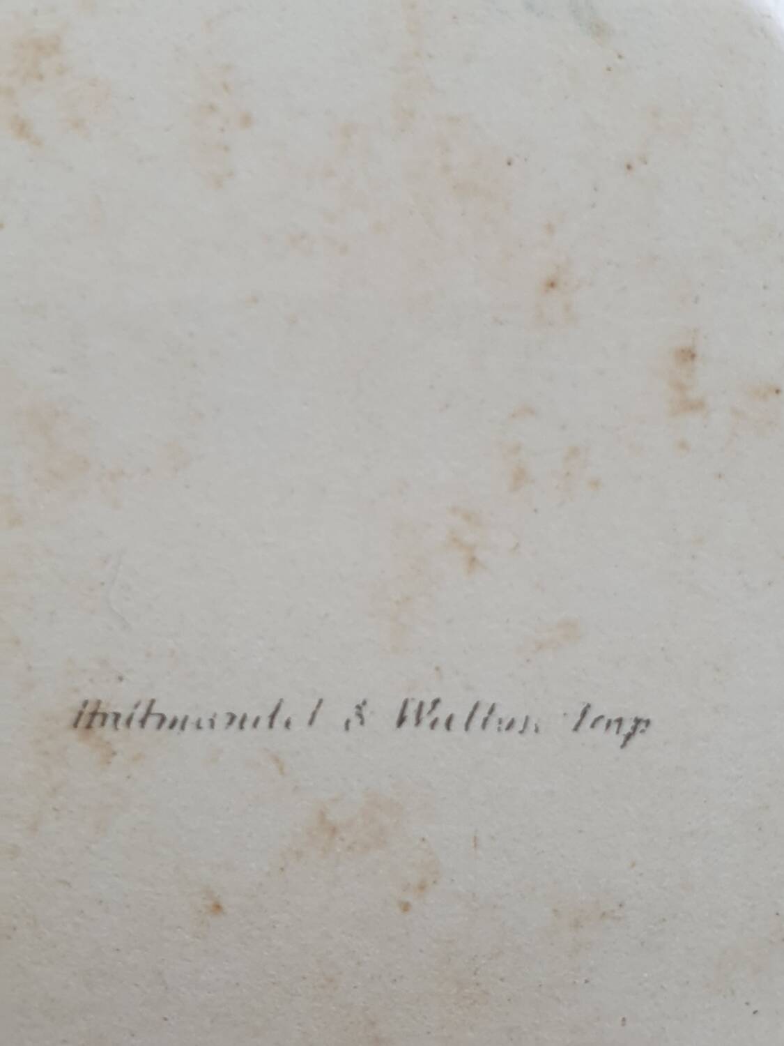 Hummingbirds Lithograph Duo