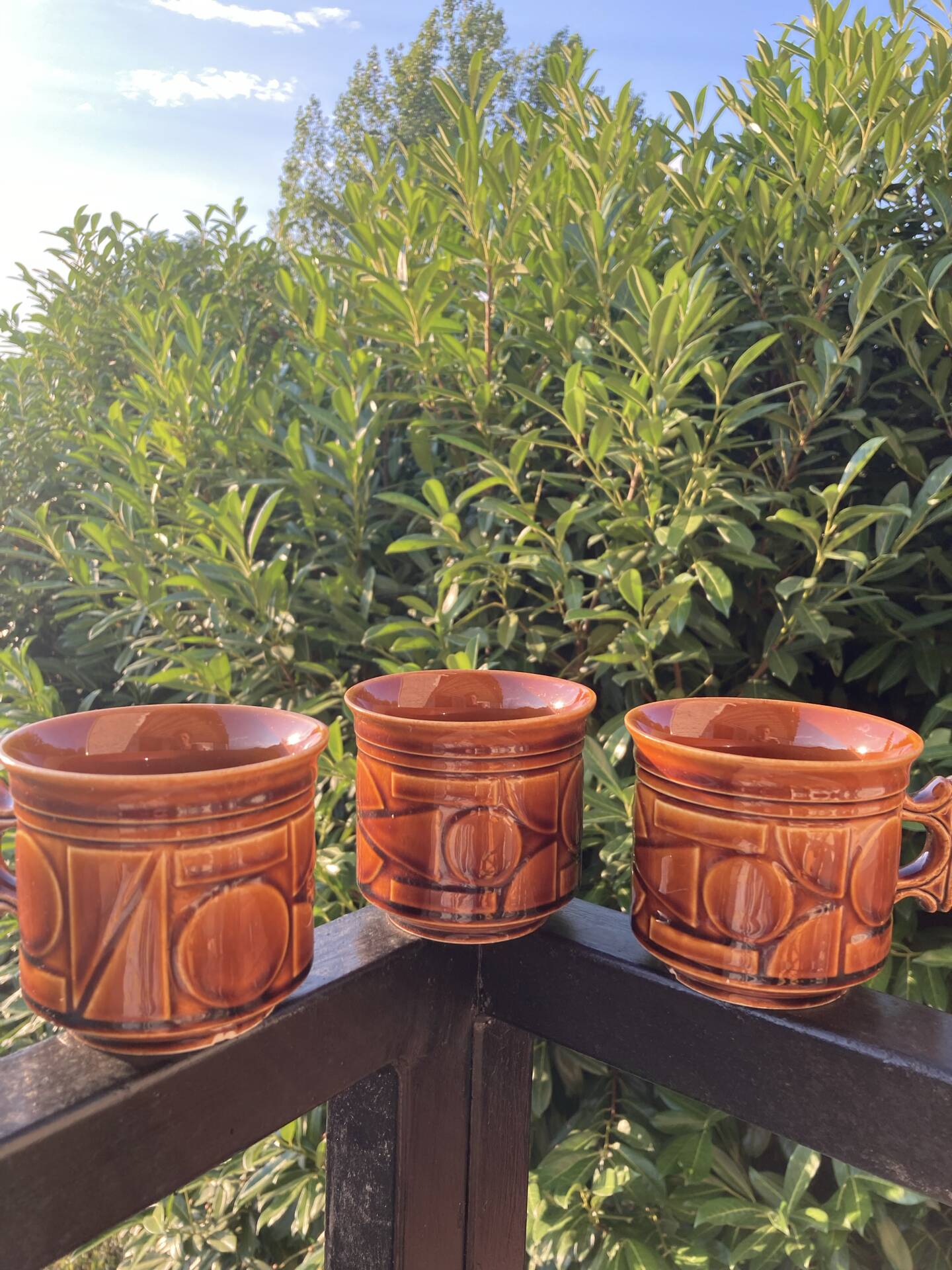 Space Age camel mugs