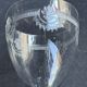 6 Saint Louis wine glasses Manon service Pantograph engraving IV