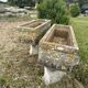 Paire de jardinières en ciment