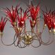 Lustre Queens Gallery Antwerp