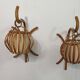 Appliques en osier