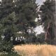 Vintage Original Landscape Oil Painting: Rowboat Nature Art