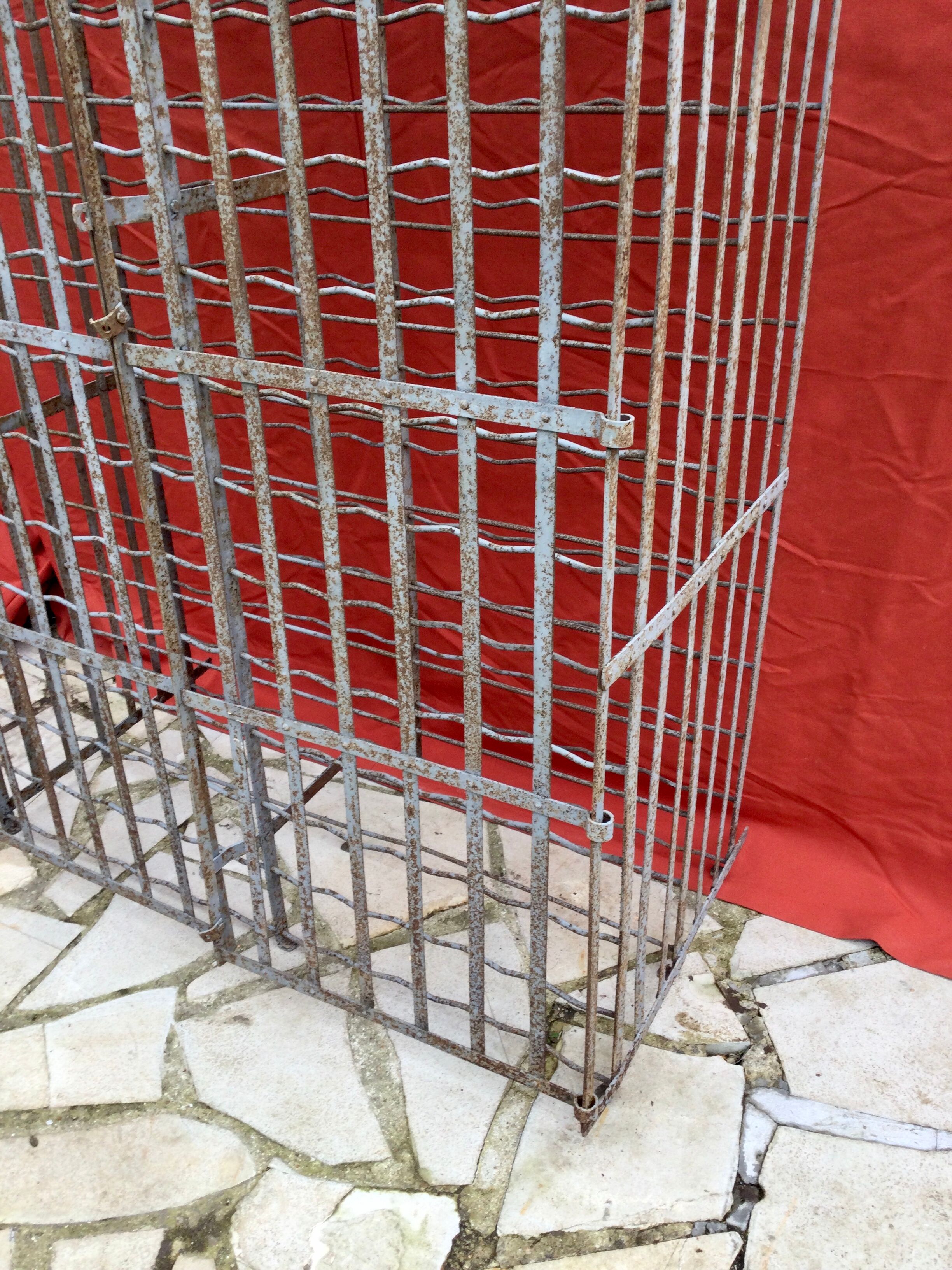 Wine cellar 300 bottles