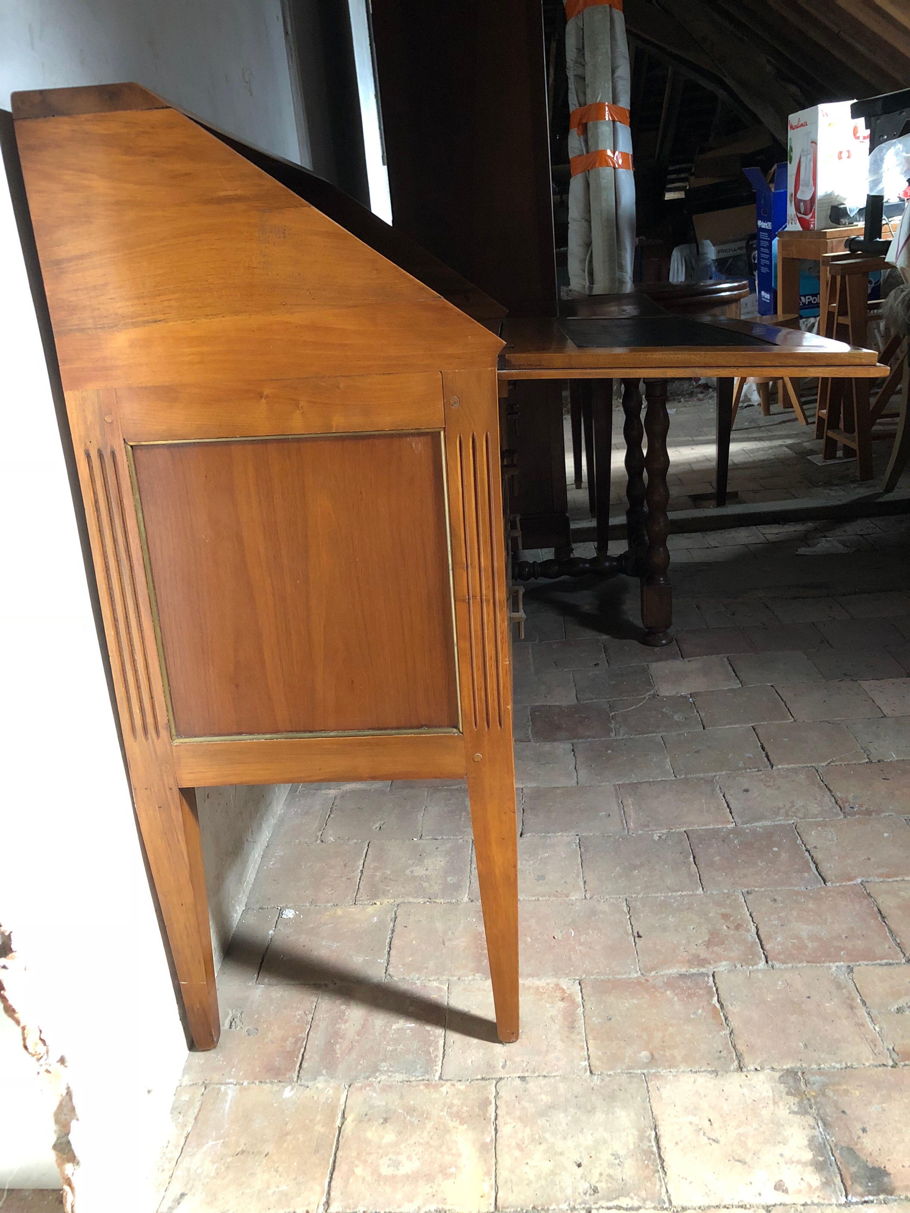 Secretary donkey back