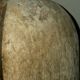 Masque africain fang début 20e-eeuwse #statue #tribus #lega
