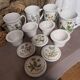 New ceramic “Medicinal Plants” tea pots