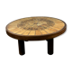 Coffee table Roger Capron herbarium