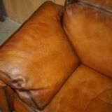 Two-seater canapé De Sede DS17 restored buffalo leather