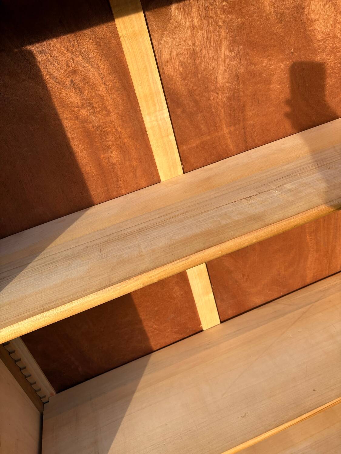 Glass cabinet / School display cabinet 1950