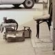 Chat & cireur – NYC 1960 Funny look, raw scene. A cult street moment.