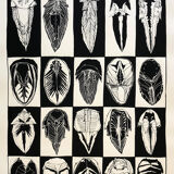 Print, insects, Bault