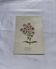 Planche botanique gravure florale naturaliste 19eme