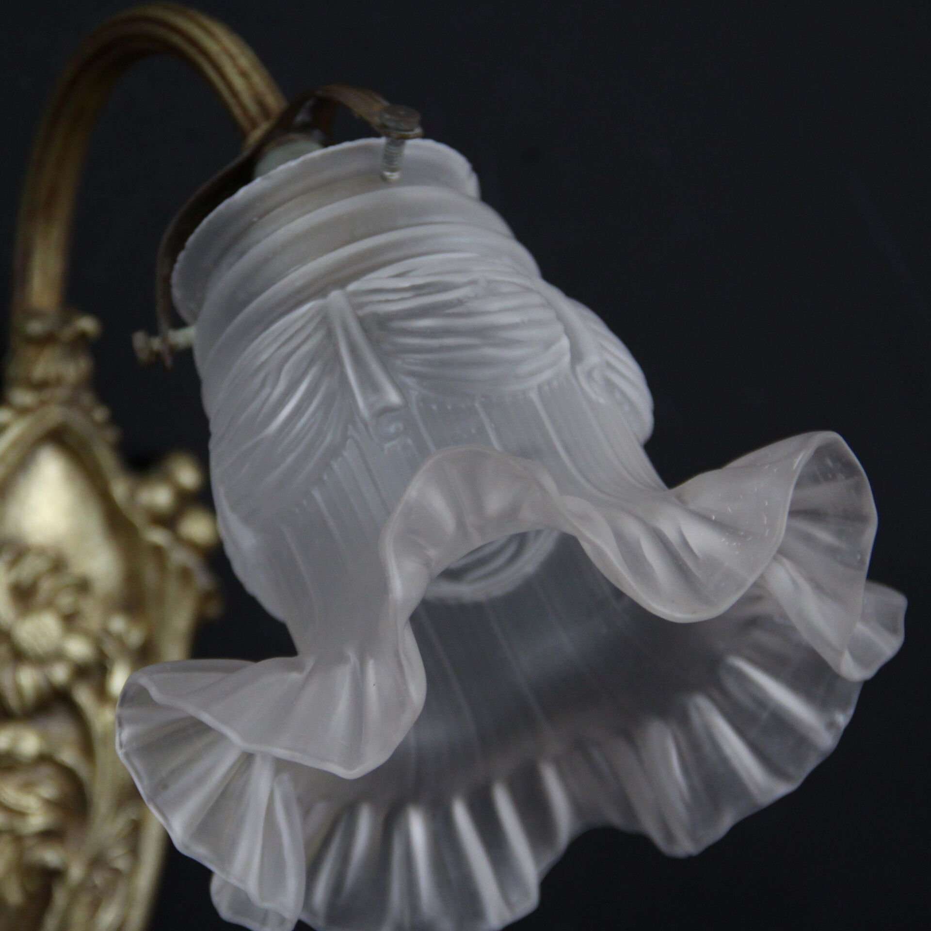 Wall light brass, old tulip glass swan neck