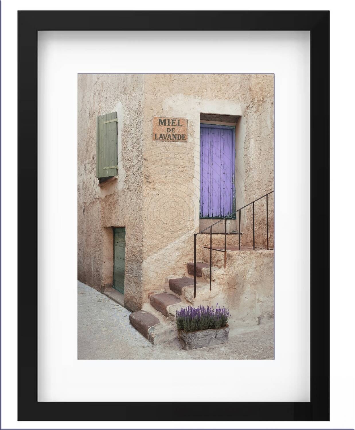 Photograph - "Lavender Honey"