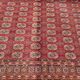Tapis boukhara  344x246 cm