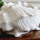 Cache pot coquillage barbotine blanche
