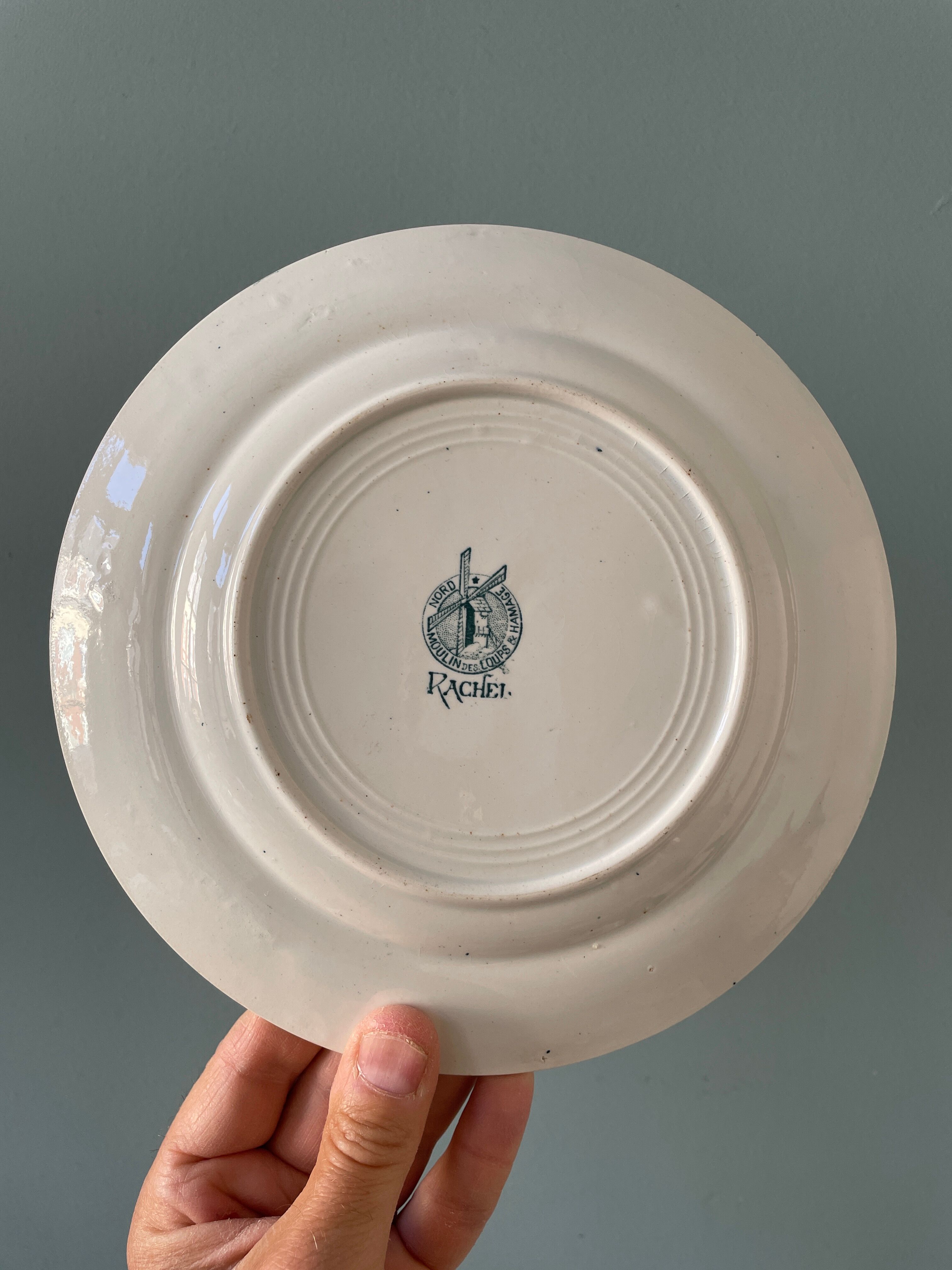 Set of 7 plates Terre de Fer XIXth mismatched