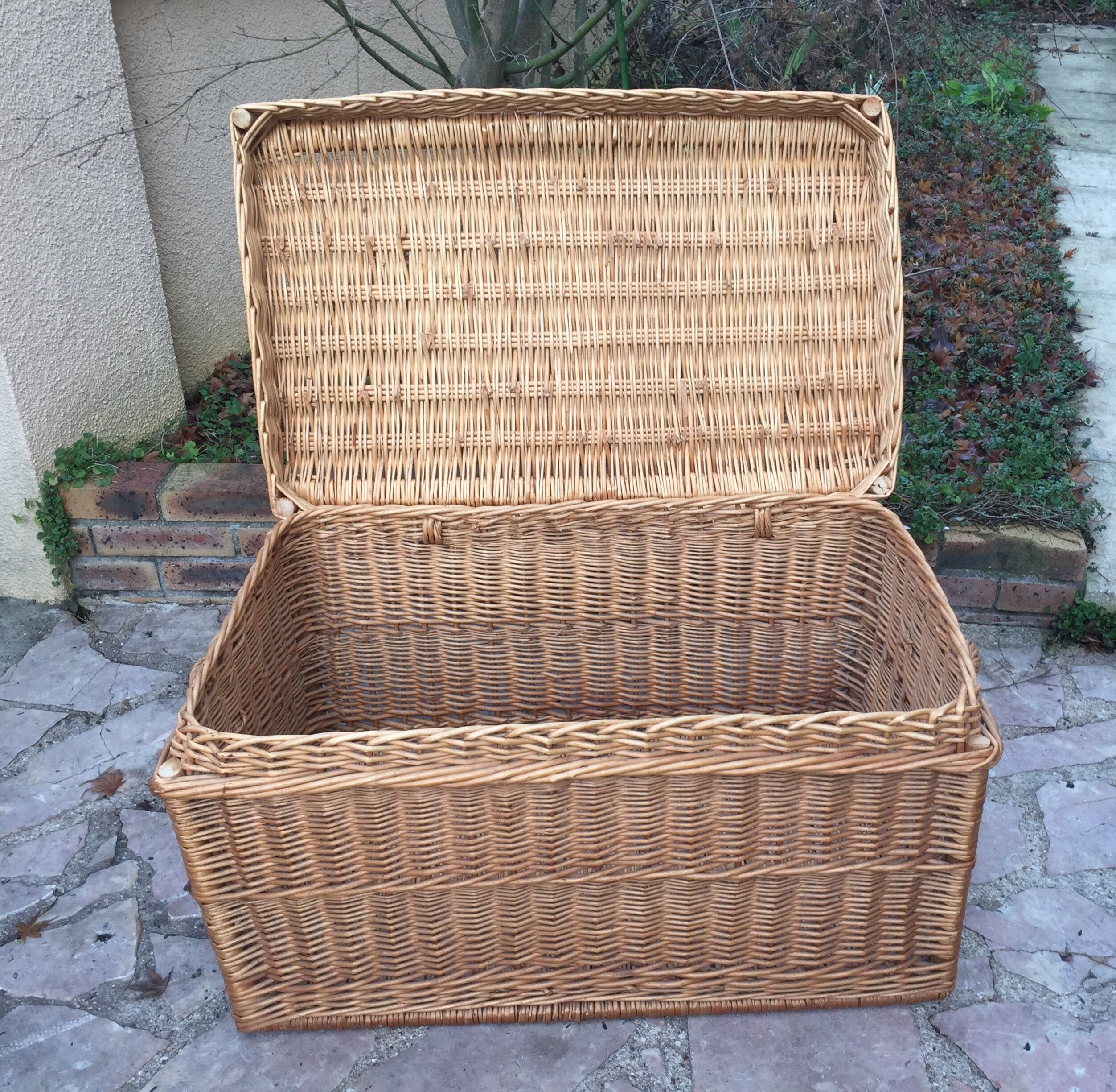 Wicker trunk
