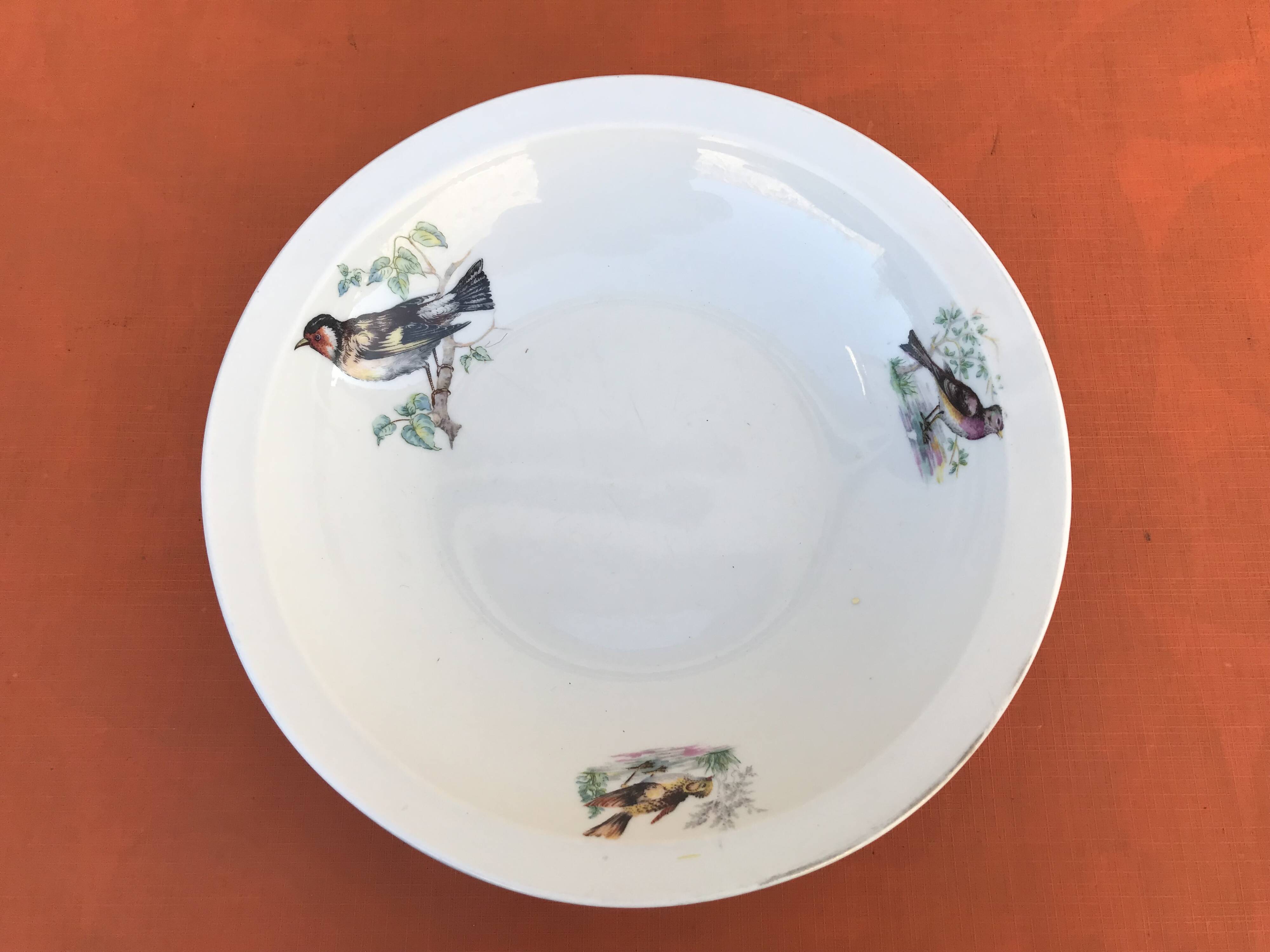 Old dish Decor Beaks and Feathers Pillivuyt France Deposited