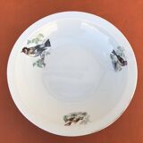 Old dish Decor Beaks and Feathers Pillivuyt France Deposited