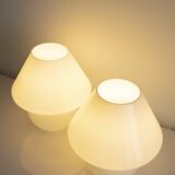 Pair of vintage mushroom lamp in blown glass