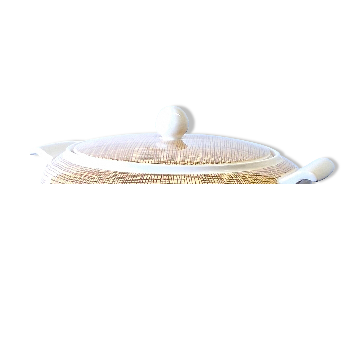 Very beautiful old soup tureen from Villeroy & Boch in very good condition.