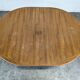 Baumann extensible table without extensions