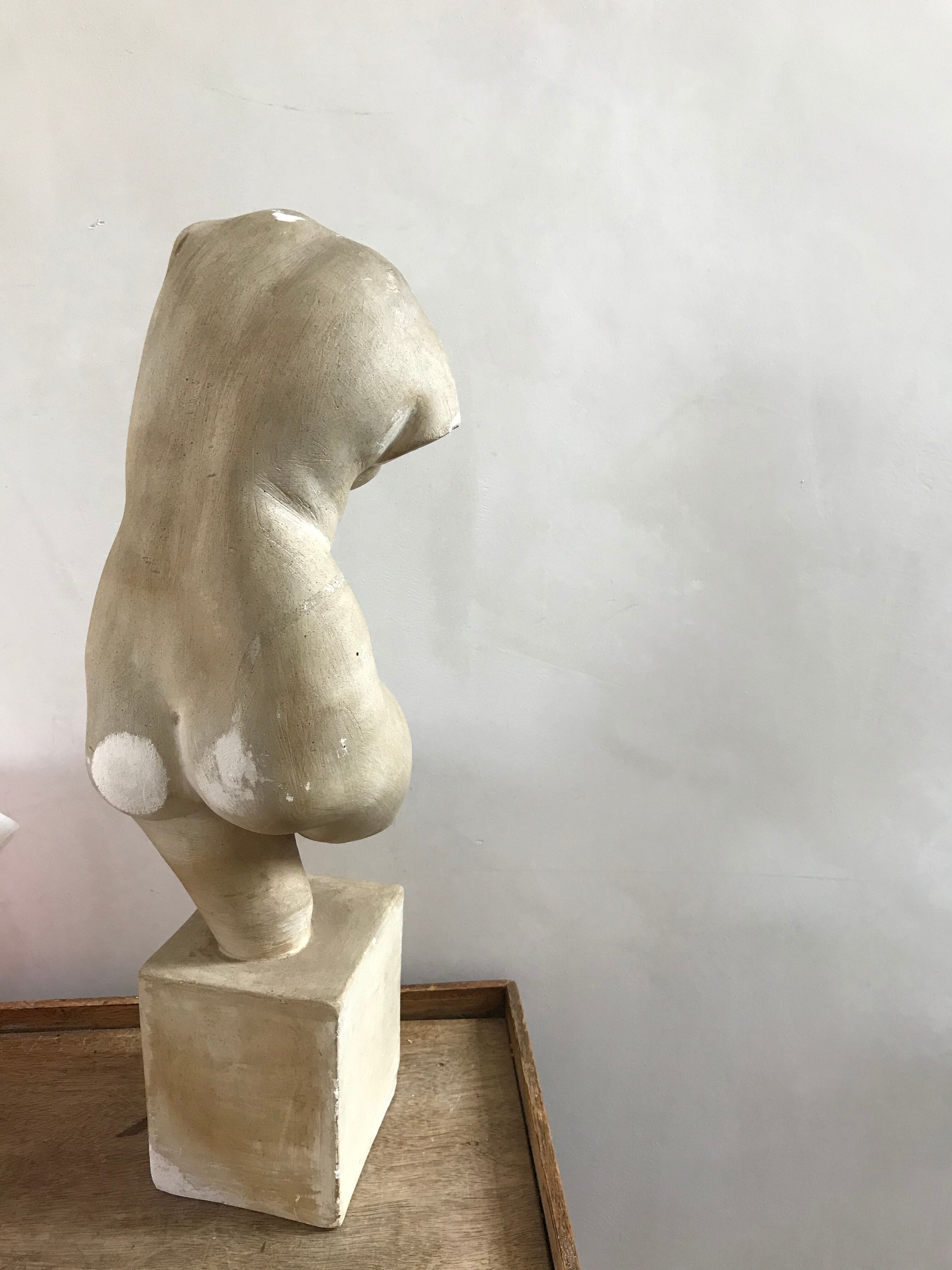 Ancient venus status