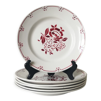 6 assiettes plates