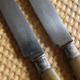 Lot 6 knives Ferrules flower shell blade bakelite steel