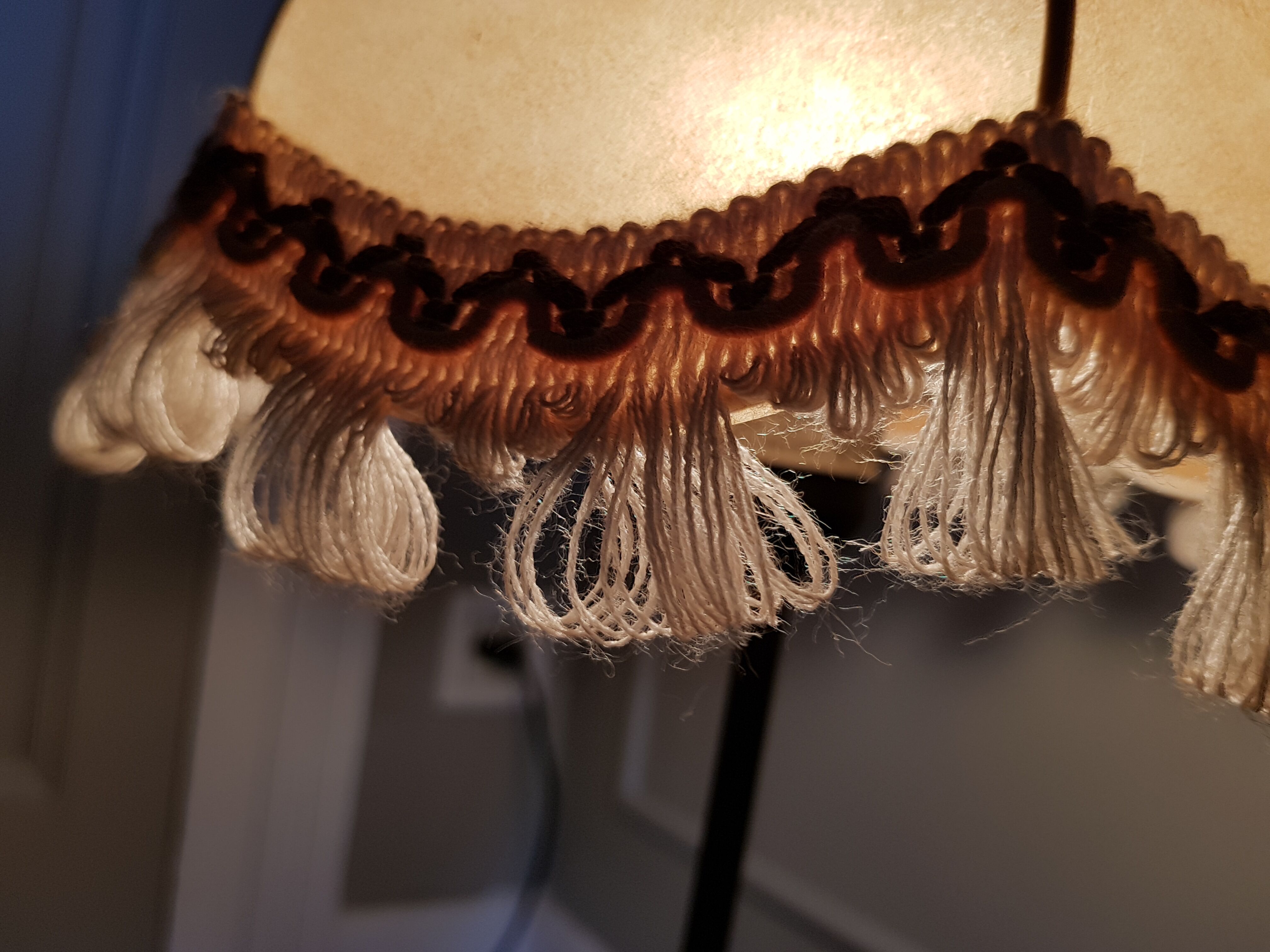 Vintage celluloid lampshade