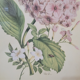 Botanical engraving