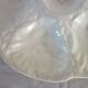 8 vintage Gien ceramic barbotine oyster plates