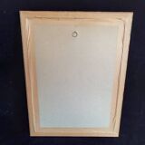 Botanical Rose Lithograph